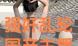 乱轮国产,神秘古国的奇幻之旅