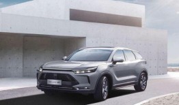 2020国产精品久久精品,久久精品，匠心独运