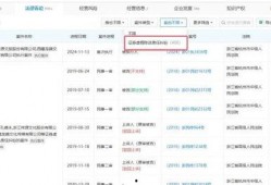 国产a网站,探索创新与发展的中国互联网新篇章