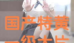 国产特黄大片,揭秘特黄大片背后的故事与影响