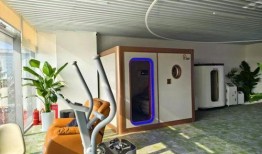 国产会所,国产会所的独特魅力与精致体验