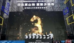 国产乱一区,揭秘国内影视产业的独特魅力与挑战