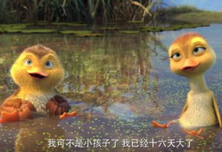 鸭子国产视频,鸭子的趣味生活大揭秘